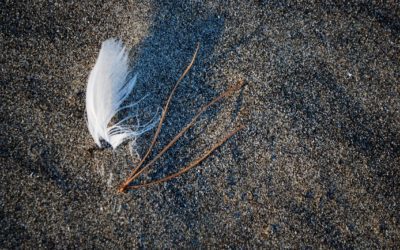 What is Focusing Oriented Therapy?